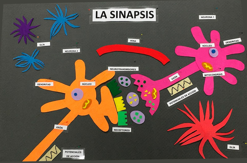 ¿Tienes algún material de divulgación científica?