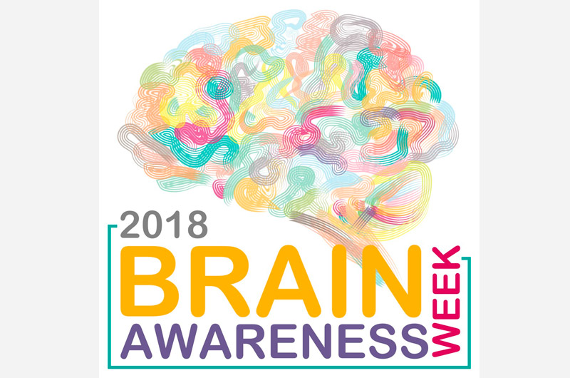 Participa en la Brain Awareness Week (BAW), 12-18 Marzo 2018