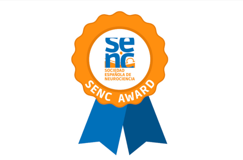 Becas SENC para asistir a la FENS