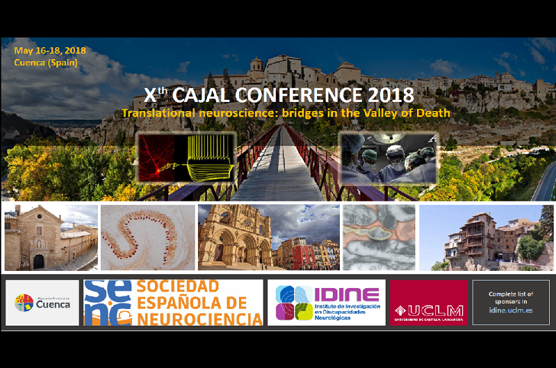 X Cajal Conference: Translational Neuroscience: Bridges in the Valley of Death