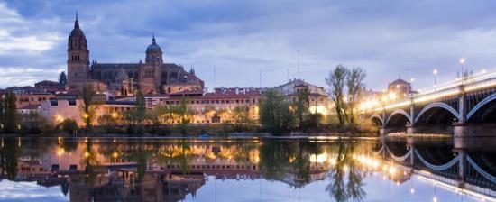 Congreso Internacional sobre Factores Neurotróficos en Salamanca (23-26 junio)