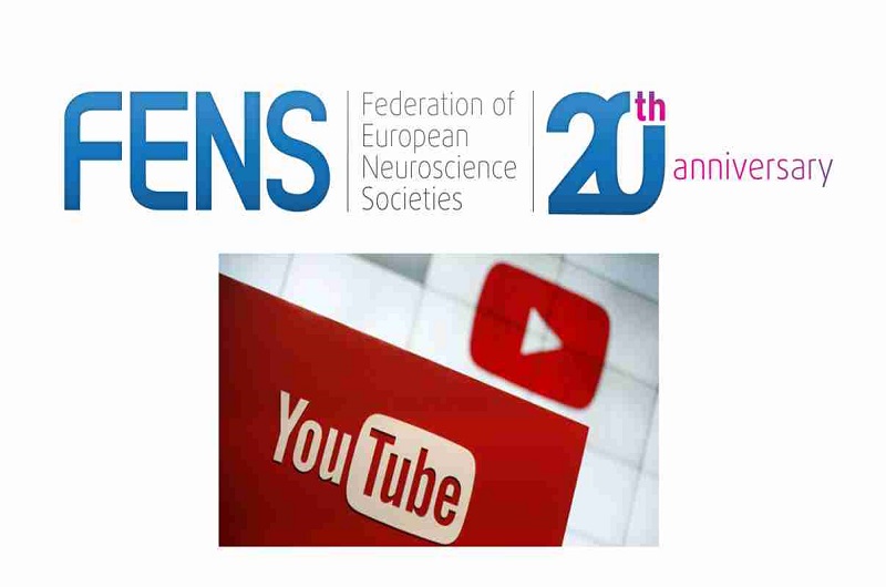 Learn about FENS through a series of videos