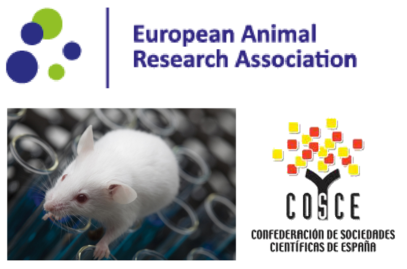 La COSCE presenta el informe de EARA