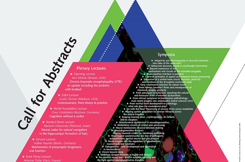 German Neuroscience Society – Call for Late Abstracts