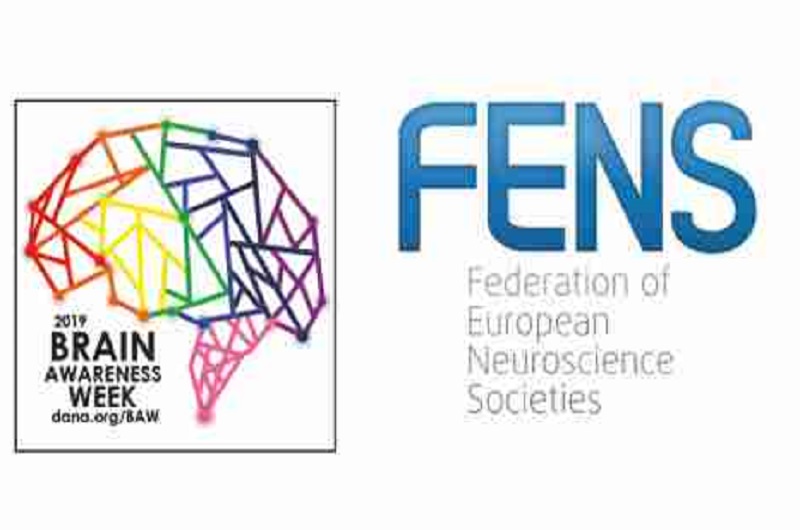 GRANTS – Brain Awareness Week 2019 (11-17 March)