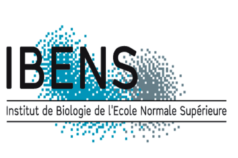 Group leaders in Developmental Biology & Neuroscience