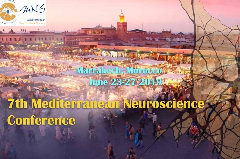 7th Conference of the Mediterranean Neuroscience Society: participate!