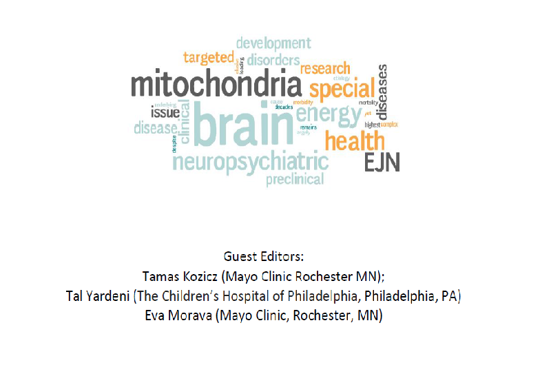 EJN Special Issue on «Powering the brain in Health and Disease»