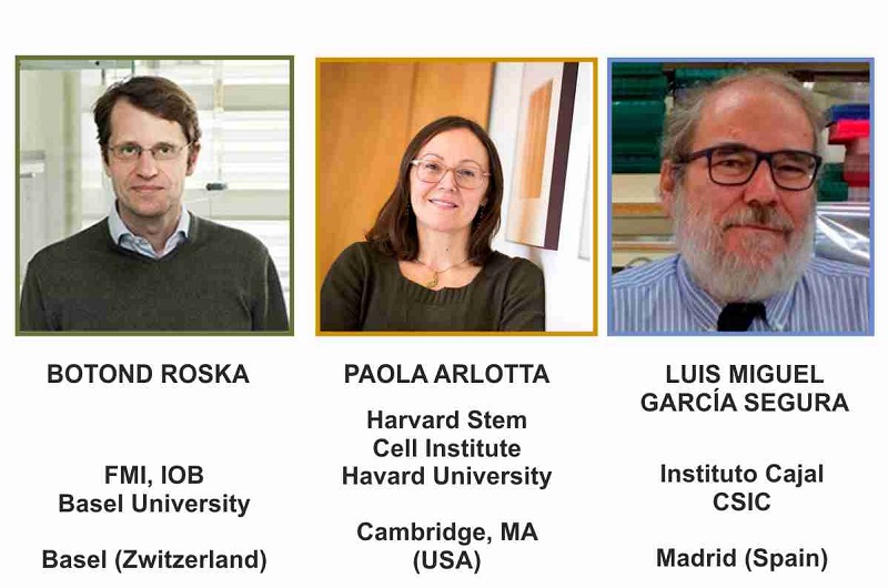 Invited speakers to the SENC Meeting in Santiago de Compostela