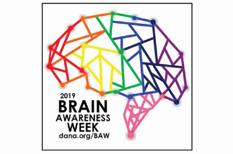 Manda imágenes sobre la Semana del cerebro: 11-17 de Marzo de 2019