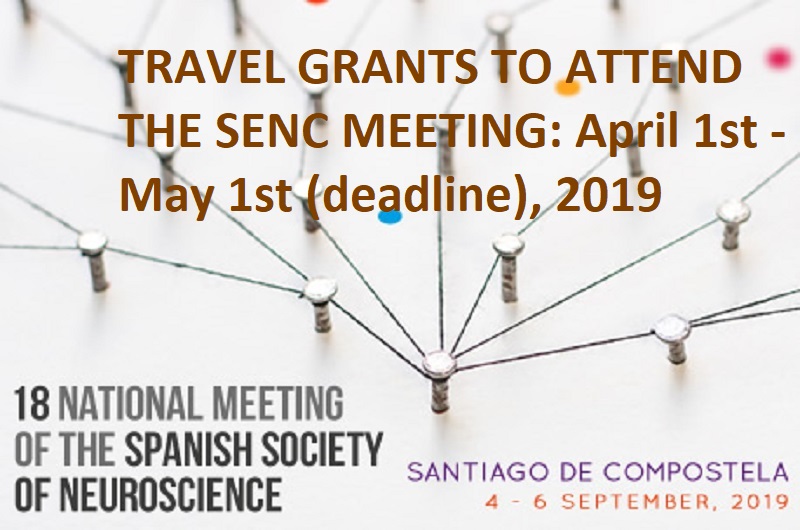 Travel grants to attend the SENC Meeting in Santiago de Compostela