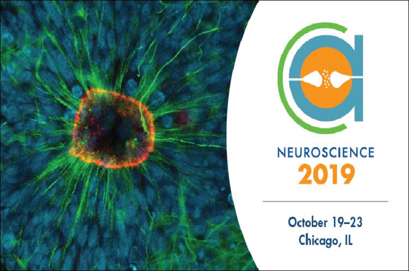 FENS travel grants for SfN 2019 in Chicago