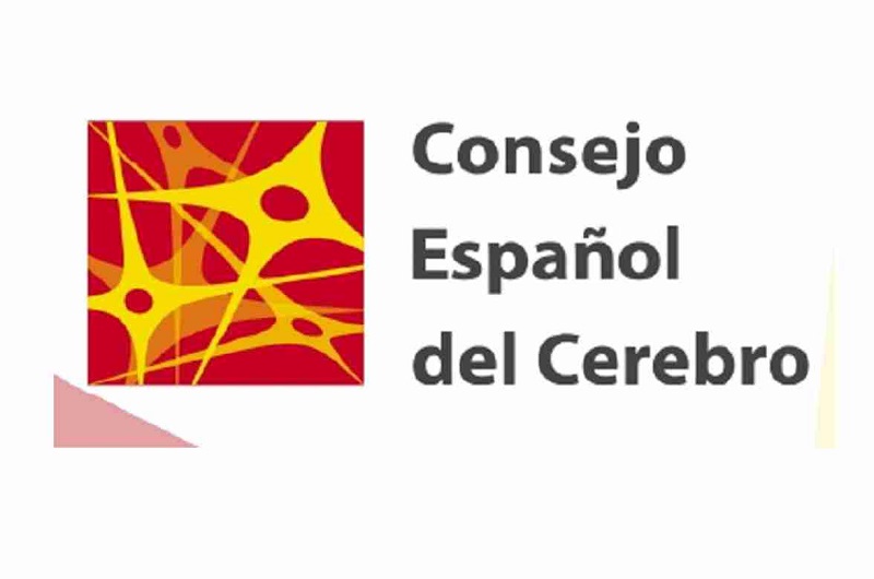 Carta del Consejo Español del Cerebro a los MEPs españoles. Horizon Europe