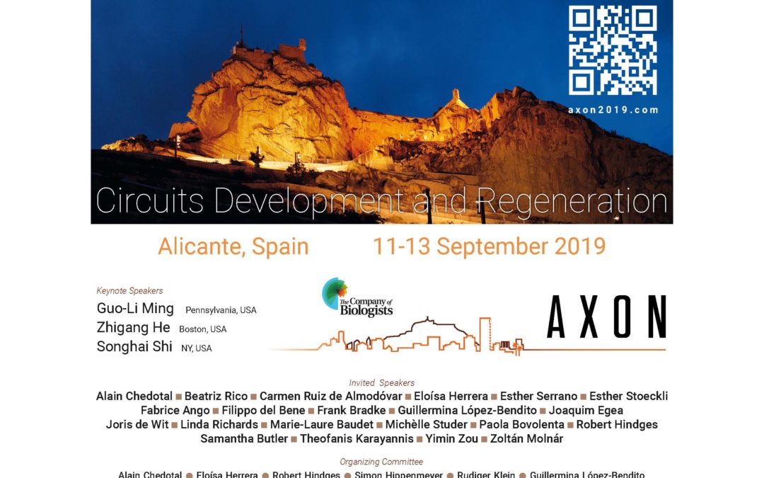 Register to the 3rd edition of the AXON-Meeting in Alicante!