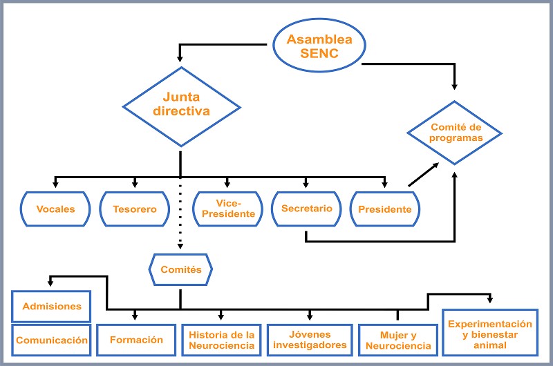 La JD de la SENC propone un cambio en los Órganos de Gobierno