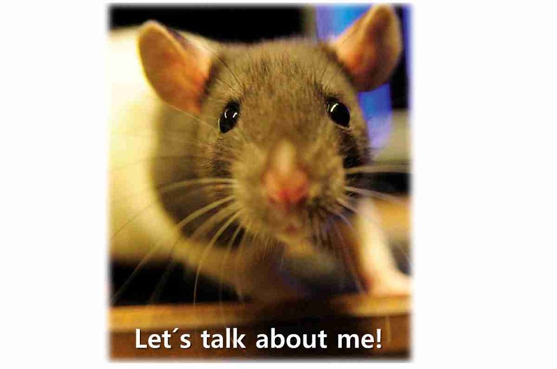Animal experimentation in Neuroscience: an interactive debate