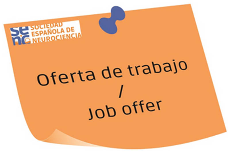 Oferta de Contrato predoctoral