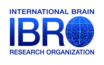 La neurociencia española destacada en IBRO