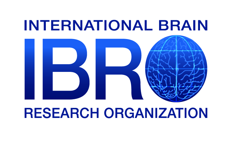La neurociencia española destacada en IBRO