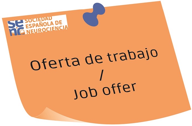 2 Postdoctoral researcher positions at the University  Miguel Hernández