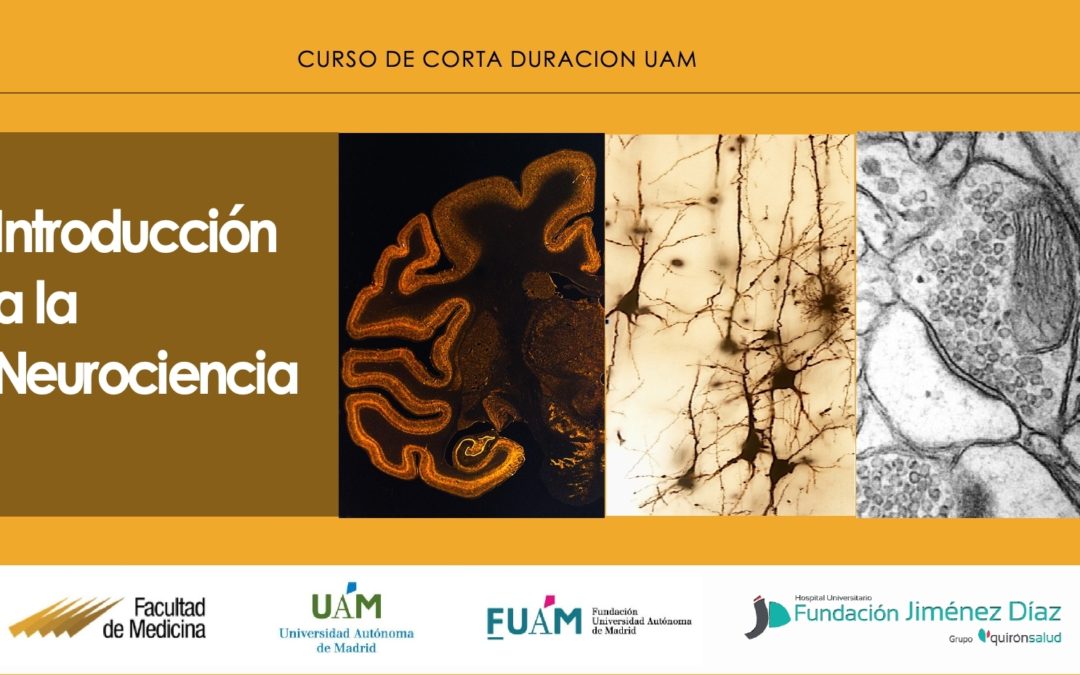 Curso de Corta Duración: Introducción a la Neurociencia (UAM)