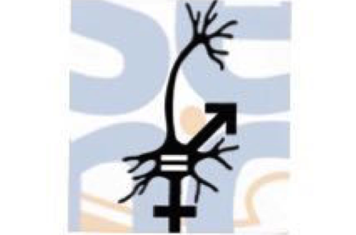 11 Febrero, Día Internacional de la Mujer y la Niña en la Ciencia