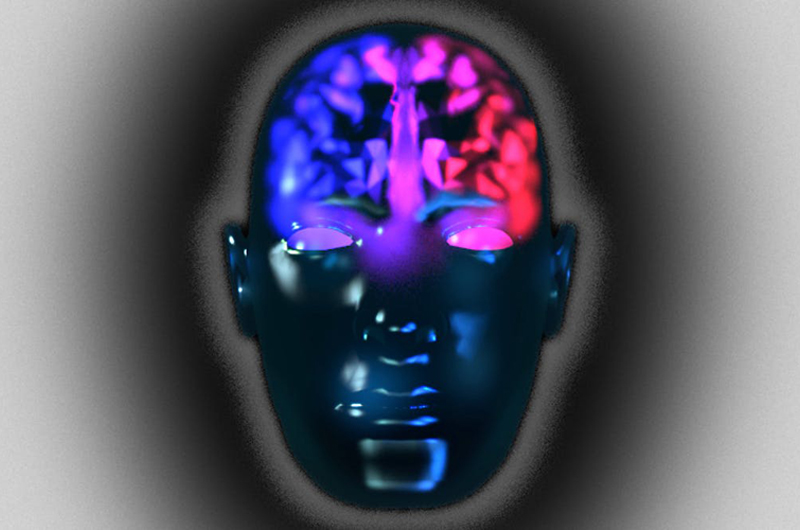 Dump brain “dimorphism”