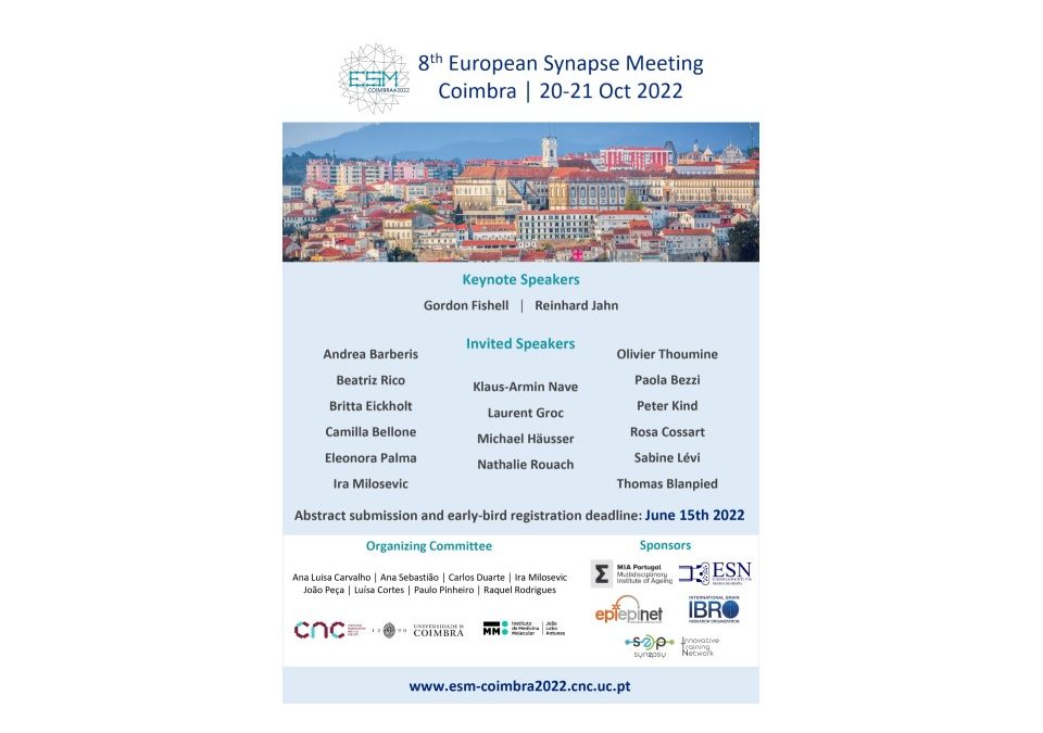 8th European Synapse Meeting – Coimbra 2022 – Scholarships