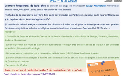 Contrato de Investigador/a en formación pre-doctoral (Lanbide, País Vasco)
