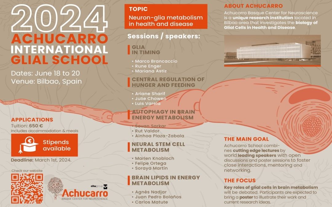 2024 Achucarro International Glial School
