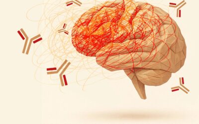 NMDAR Hypofunction at the Crossroads of Psychosis and Cognition