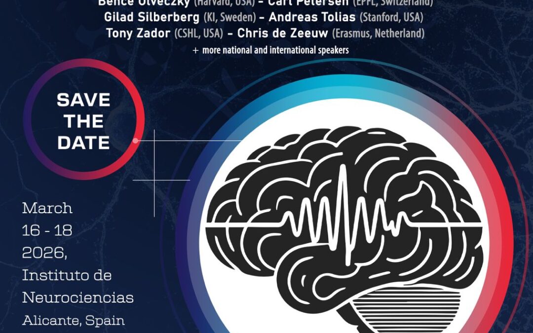 1st Systems-IN-Action Meeting, Alicante