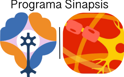 Programa Sinapsis CEC-SENCJ