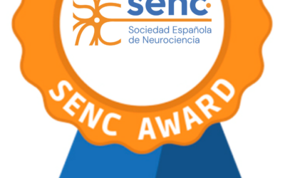 SFN Meeting TRAVEL AWARDS 2026