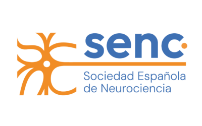 Convocatoria Becas SENC para asistir a SfN 2026