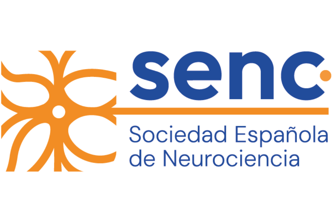 Resolución Becas SENC para asistir a FENS 2026