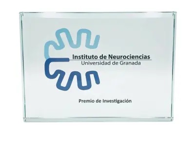 Premio Investigación Instituto de Neurociencias Granada. Convocatoria 2026