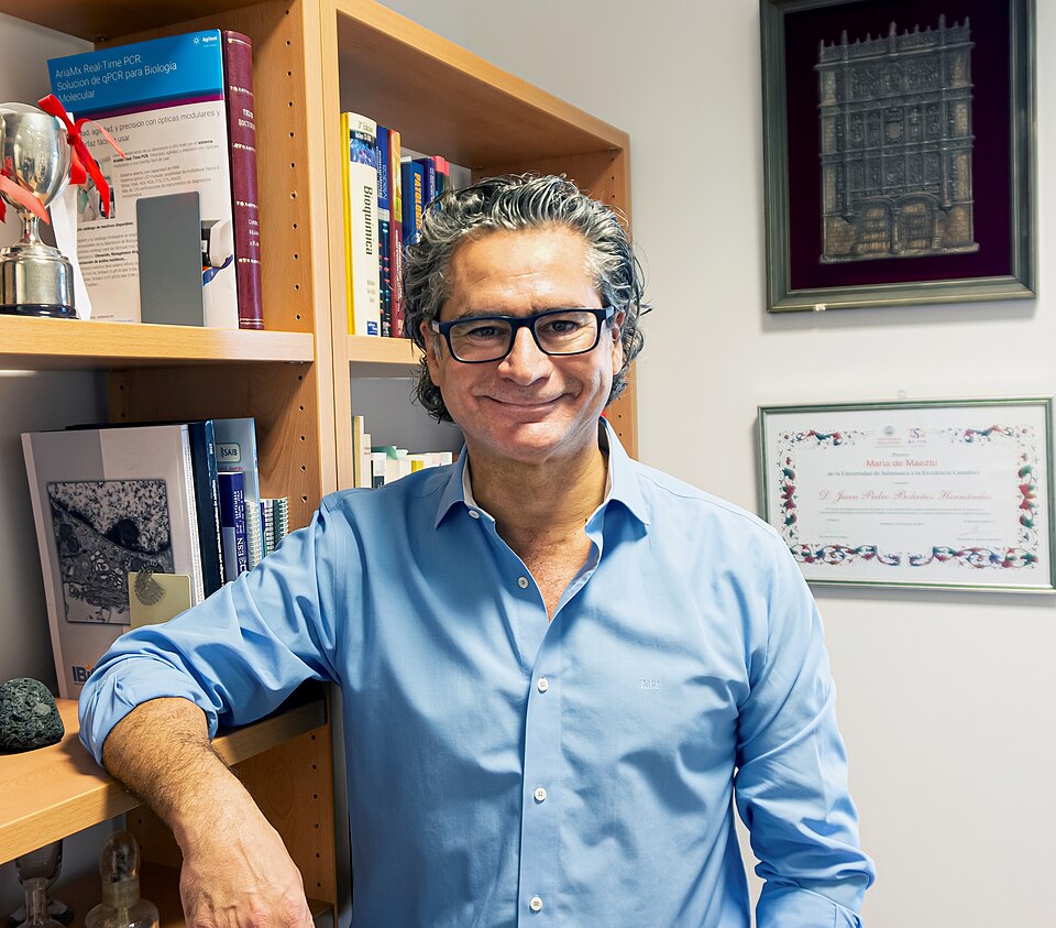 Juan P. Bolaños