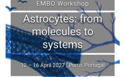 EMBO workshop: Astrocytes: from molecules to systems