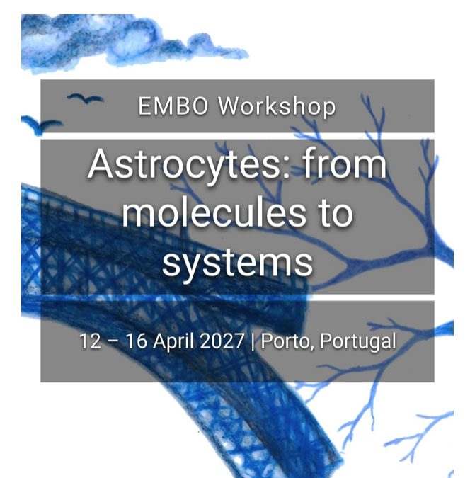 EMBO workshop: Astrocytes: from molecules to systems